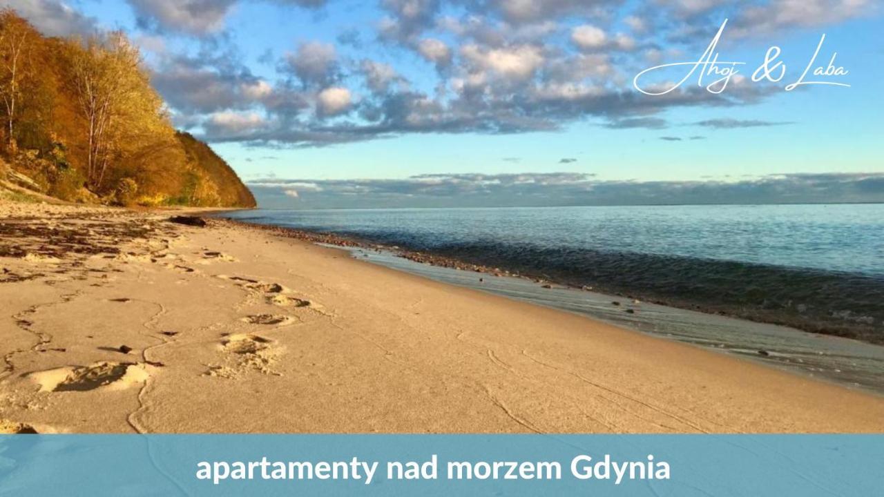 Laba - Basen, Blisko Plazy, Cisza, Taras, Parking, Bezplatne Wifi, Wyjatkowy! Apartman Gdynia Kültér fotó