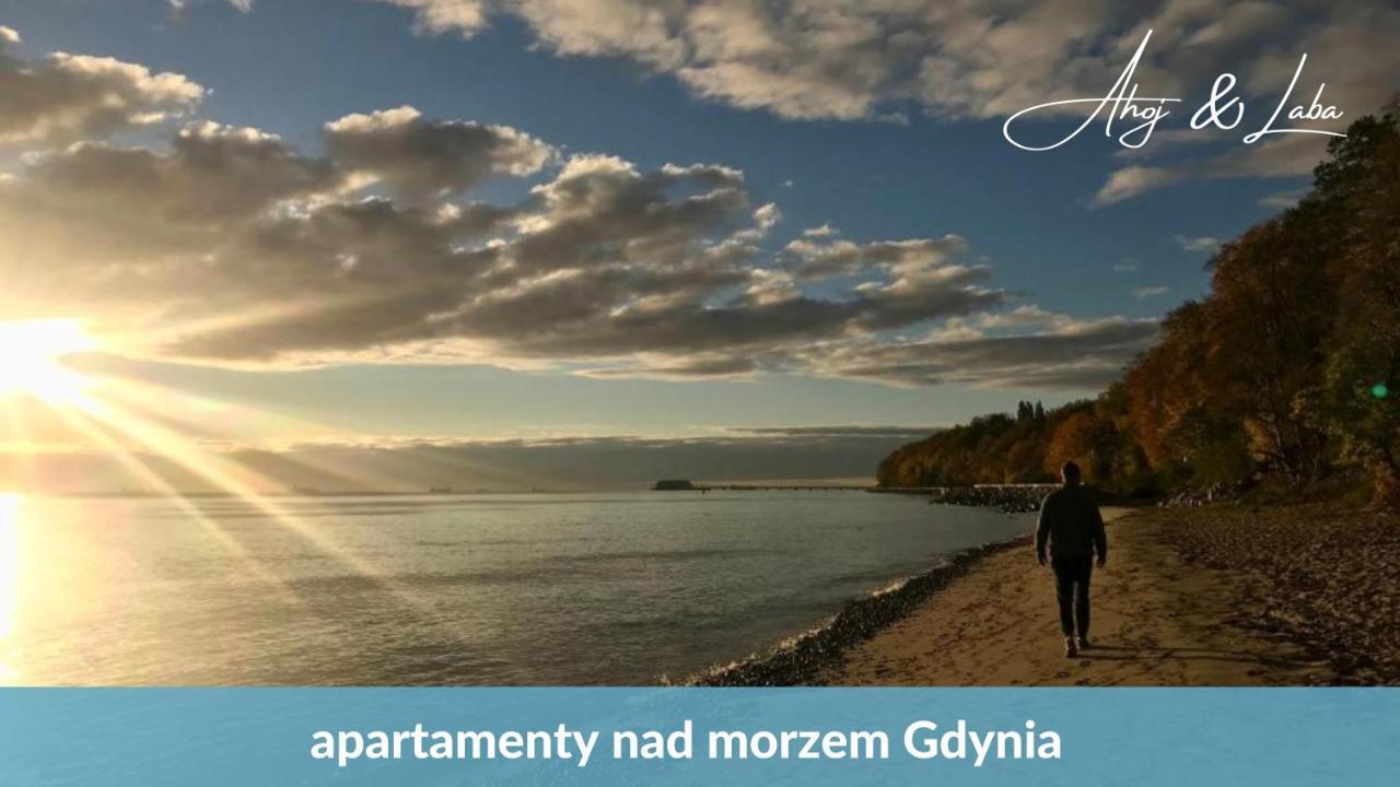 Laba - Basen, Blisko Plazy, Cisza, Taras, Parking, Bezplatne Wifi, Wyjatkowy! Apartman Gdynia Kültér fotó