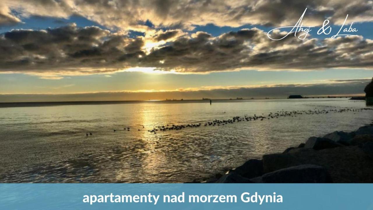 Laba - Basen, Blisko Plazy, Cisza, Taras, Parking, Bezplatne Wifi, Wyjatkowy! Apartman Gdynia Kültér fotó