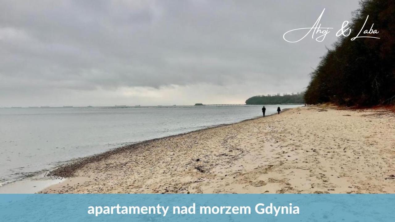 Laba - Basen, Blisko Plazy, Cisza, Taras, Parking, Bezplatne Wifi, Wyjatkowy! Apartman Gdynia Kültér fotó