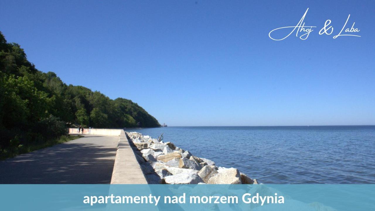 Laba - Basen, Blisko Plazy, Cisza, Taras, Parking, Bezplatne Wifi, Wyjatkowy! Apartman Gdynia Kültér fotó