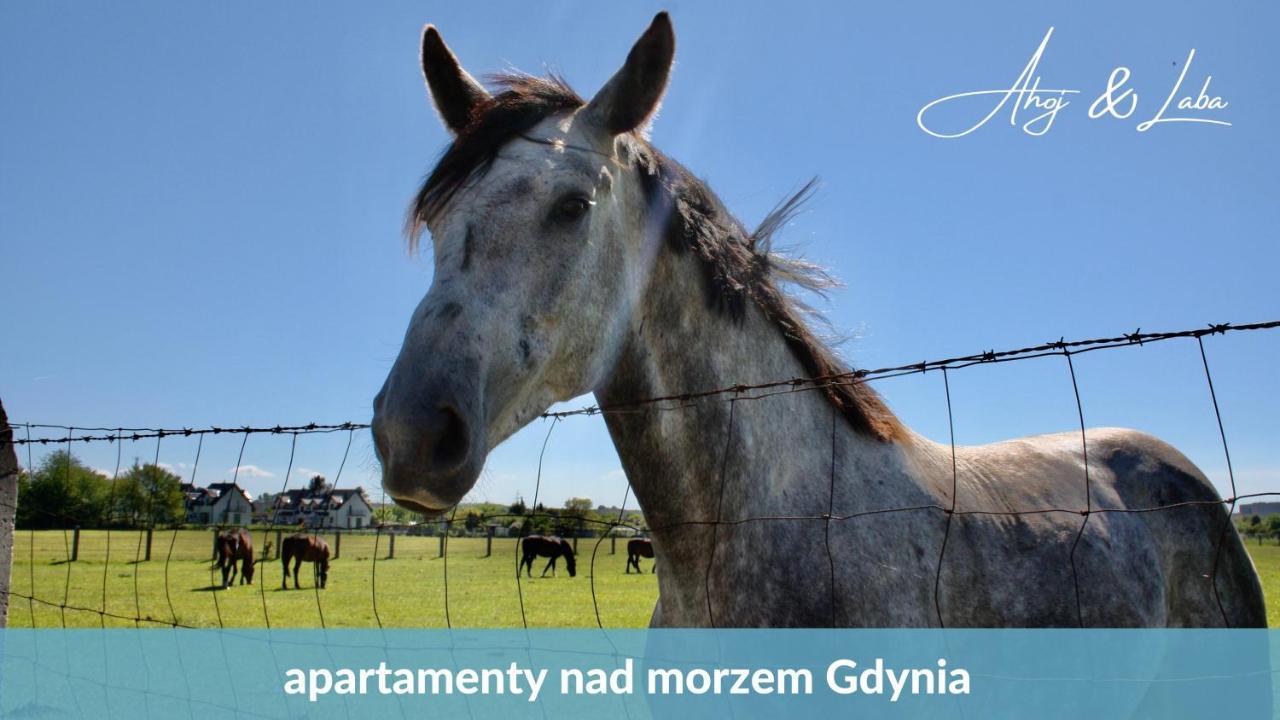 Laba - Basen, Blisko Plazy, Cisza, Taras, Parking, Bezplatne Wifi, Wyjatkowy! Apartman Gdynia Kültér fotó