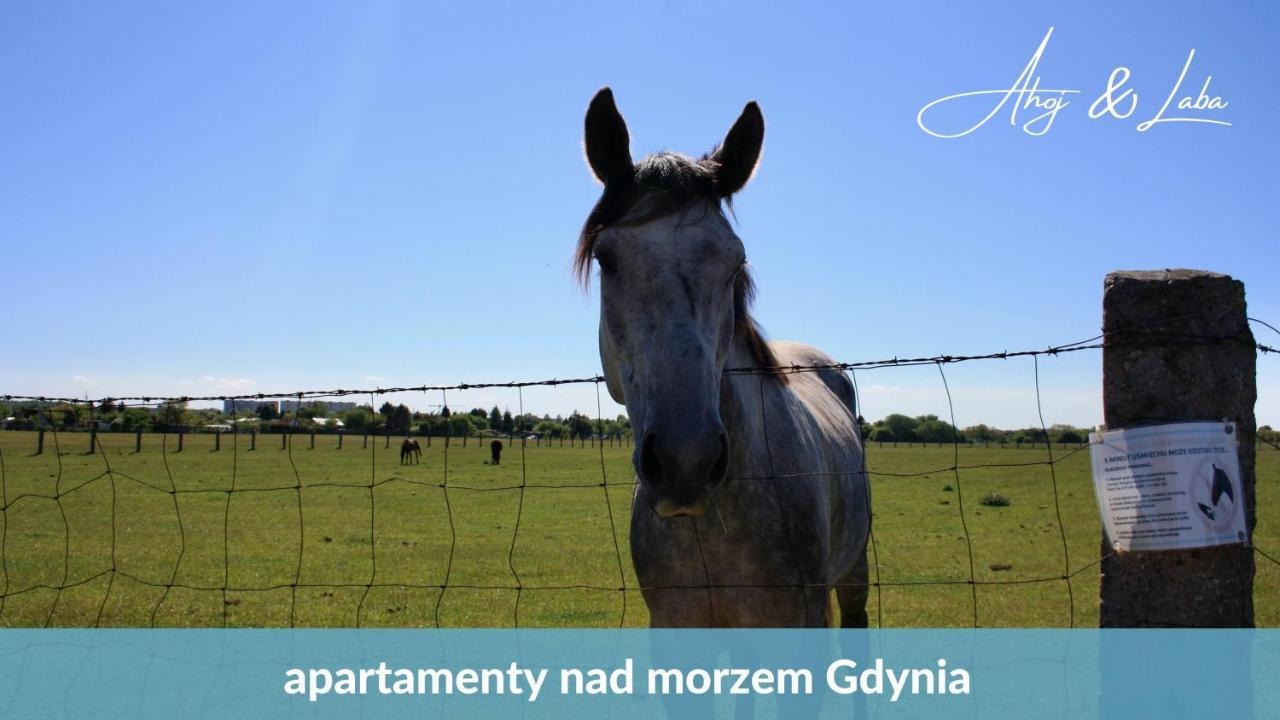Laba - Basen, Blisko Plazy, Cisza, Taras, Parking, Bezplatne Wifi, Wyjatkowy! Apartman Gdynia Kültér fotó