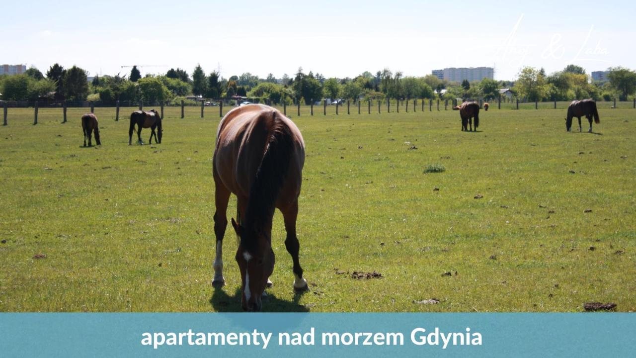 Laba - Basen, Blisko Plazy, Cisza, Taras, Parking, Bezplatne Wifi, Wyjatkowy! Apartman Gdynia Kültér fotó